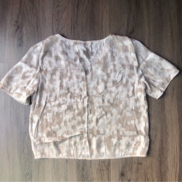 Aritzia Babaton T Shirt Size M Nude Metallic Burnout Sheer Cropped Contemporary - Picture 2 of 7